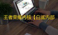 王者荣耀内核【白鲨内部】辅助