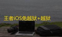 王者iOS免越狱+越狱【妙手/透视/野怪技能CD计时/直装注入】辅助